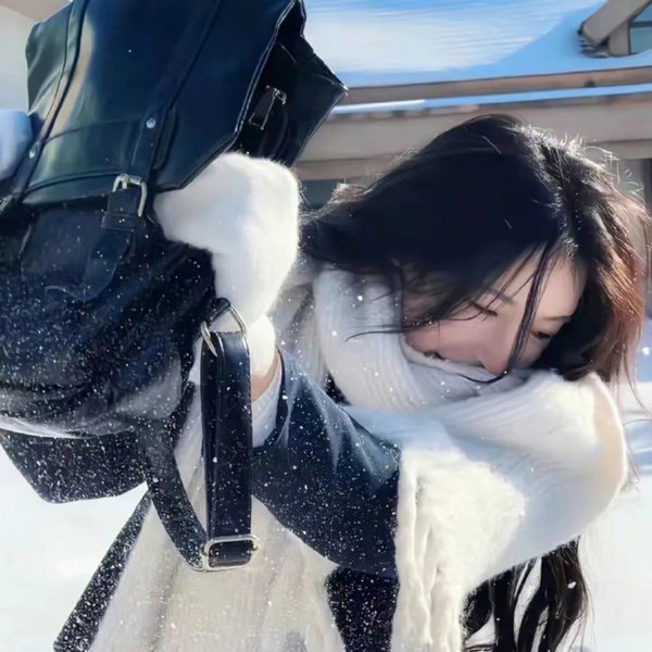 冰狗任务