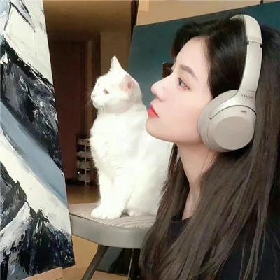 彩岛人生